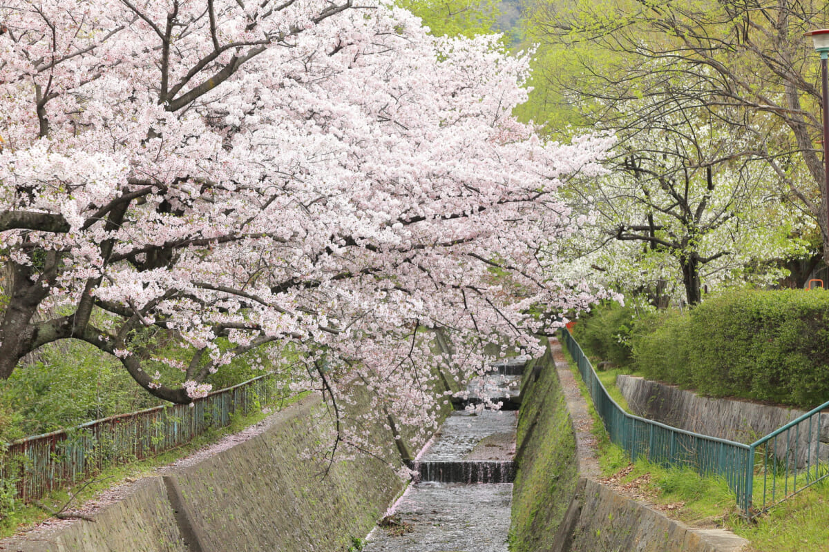 JR灘駅周辺は住みやすい？