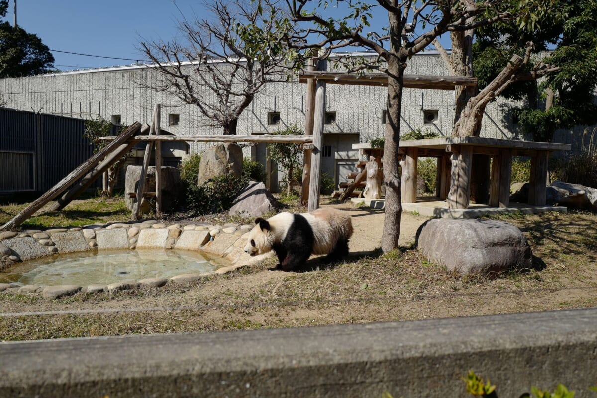 王子動物園